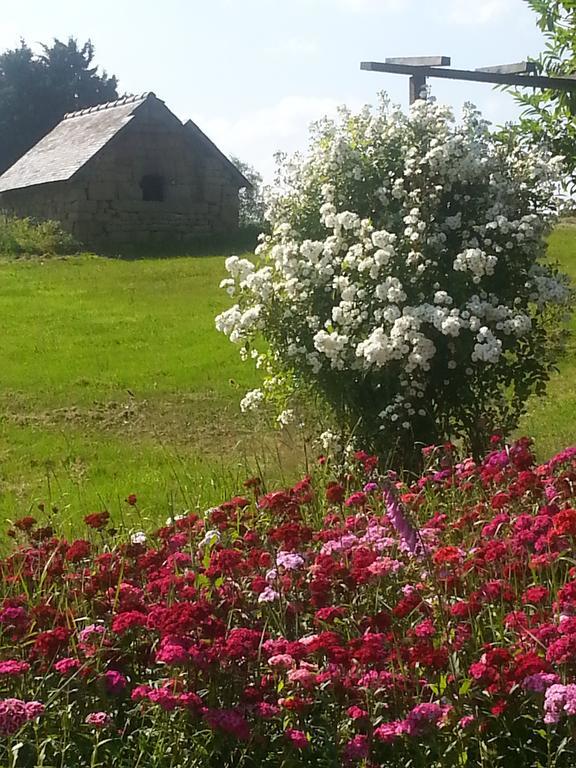 Manoir De La Branche Acomodação com café da manhã Maen Roch Exterior foto