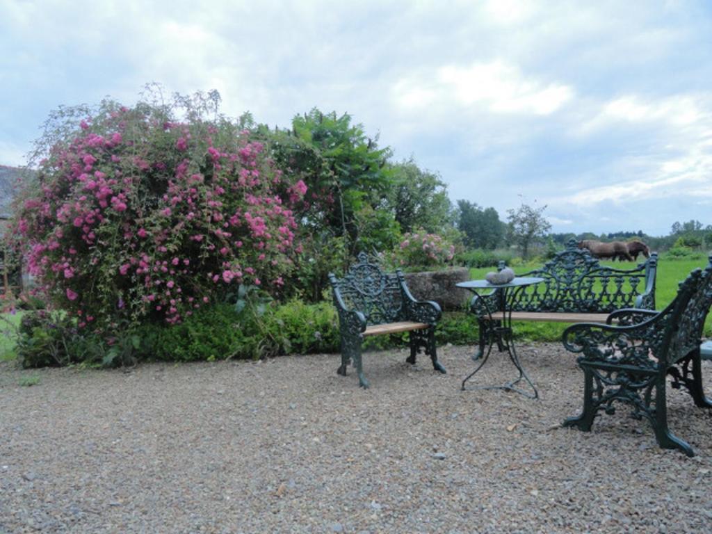 Manoir De La Branche Acomodação com café da manhã Maen Roch Exterior foto