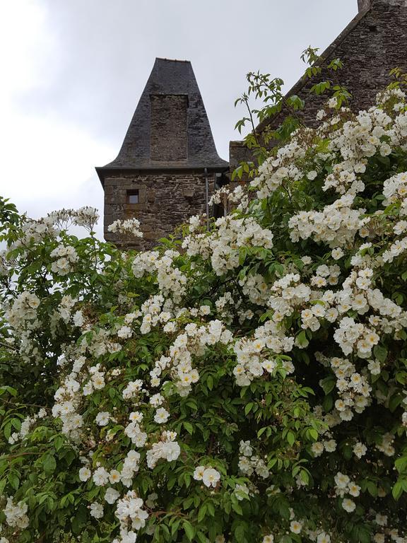Manoir De La Branche Acomodação com café da manhã Maen Roch Exterior foto